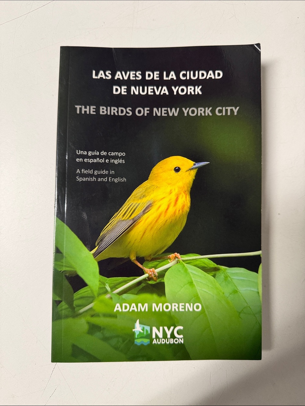 The Birds of New York City – Yellow Field Guide by Adam Moreno